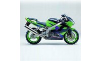 Acheter Carénages Kawasaki ZX9R 2002-2003