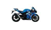 Acheter Carénage Suzuki GSXR 1000