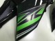 Carénage Moto Kawasaki Z800 2013-2018 - Vert Noir Brillant