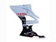 Carénages Moto BMW S1000RR 2015-2016 - Blanc Noir Brillant Fiamm