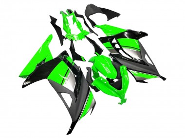 Acheter Carénages Moto Kawasaki EX300 2013-2017 - Vert Argent Noir