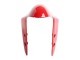 Carénages Moto Ducati 1299 2015-2020 - Rouge
