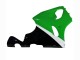 Carénages Moto Kawasaki ZX7R 1996-2003 - Blanc Vert Noir