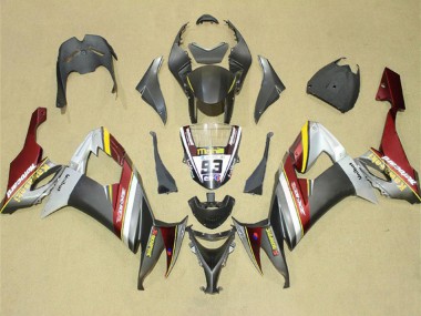 Acheter Carénages Moto Kawasaki ZX10R 2008-2010 - Argent Gris Jaune Rouge