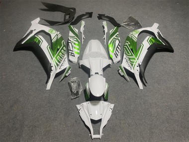 Acheter Carénages Moto Kawasaki ZX10R 2011-2015 - Blanc Vert Noir Mat