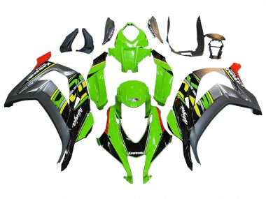 Acheter Carénages Moto Kawasaki ZX10R 2016-2020 - Vert Rouge Gris