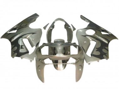 Acheter Carénages Moto Kawasaki ZX12R 2002-2006 - Argent Noir