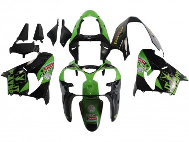 Acheter Carénages Moto Kawasaki ZX9R 2000-2001 - Vert Noir Playboy DENSO