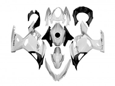 Acheter Carénages Moto Kawasaki Ninja 400 2018-2024 - Blanc Argent Noir