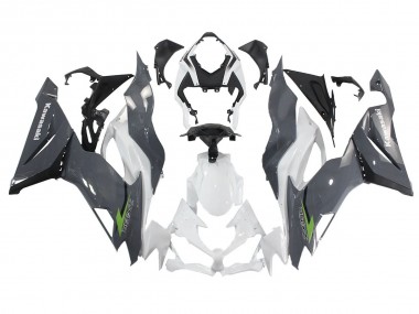 Acheter Carénages Moto Kawasaki ZX6R 2019-2022 - Blanc Gris Vert